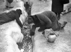 жители-ленинграда.jpg