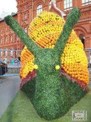 фруктовая-улитка.jpg