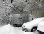 природный-коллапс-02.jpg
