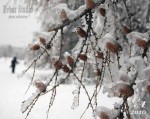 природный-коллапс-03.jpg