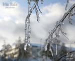 природный-коллапс-04.jpg