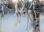 природный-коллапс-05.jpg