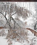 природный-коллапс-07.jpg